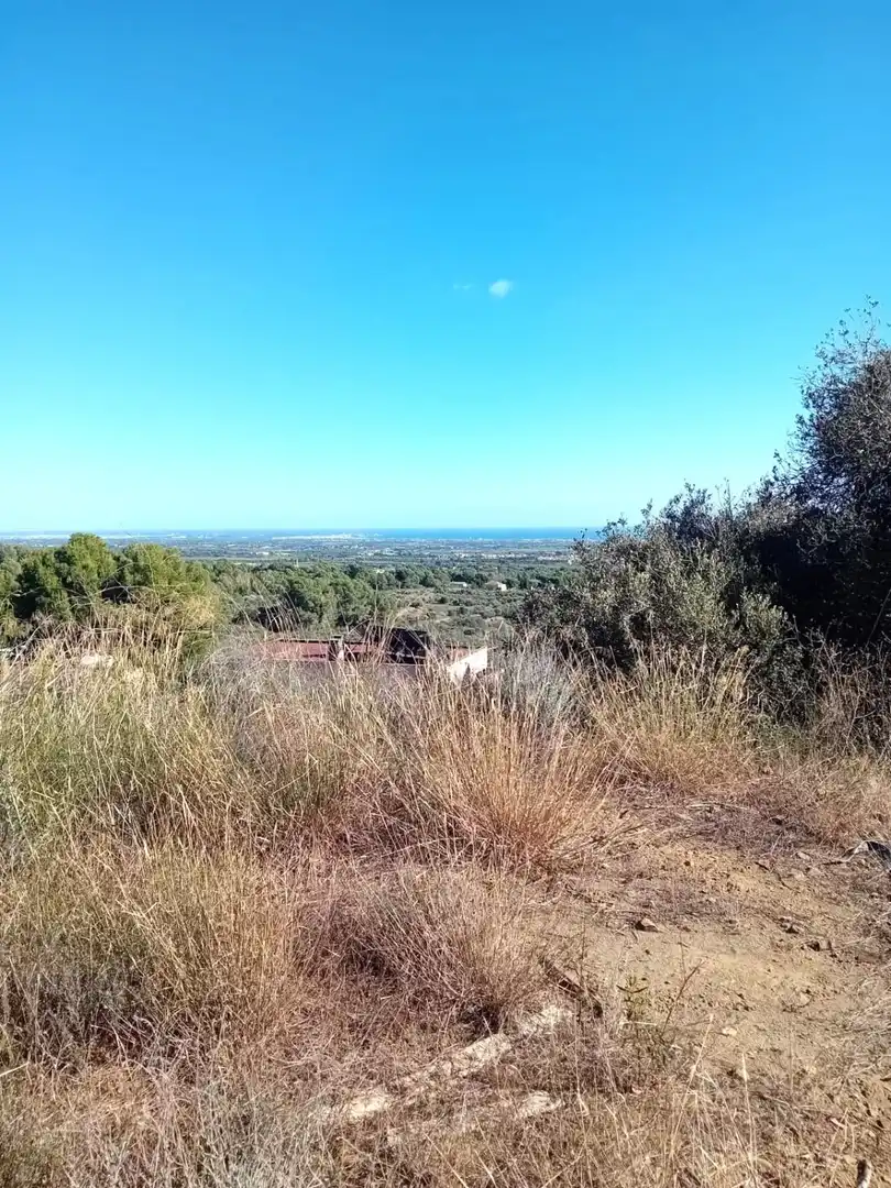 Terreno residenziale in vendita a Riudecanyes, imagen 5