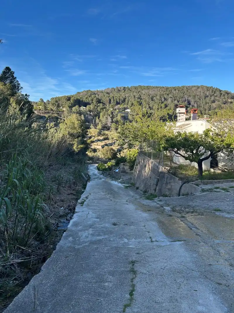 Vista exterior de Finca rústica en venda en Oliva amb Moblat