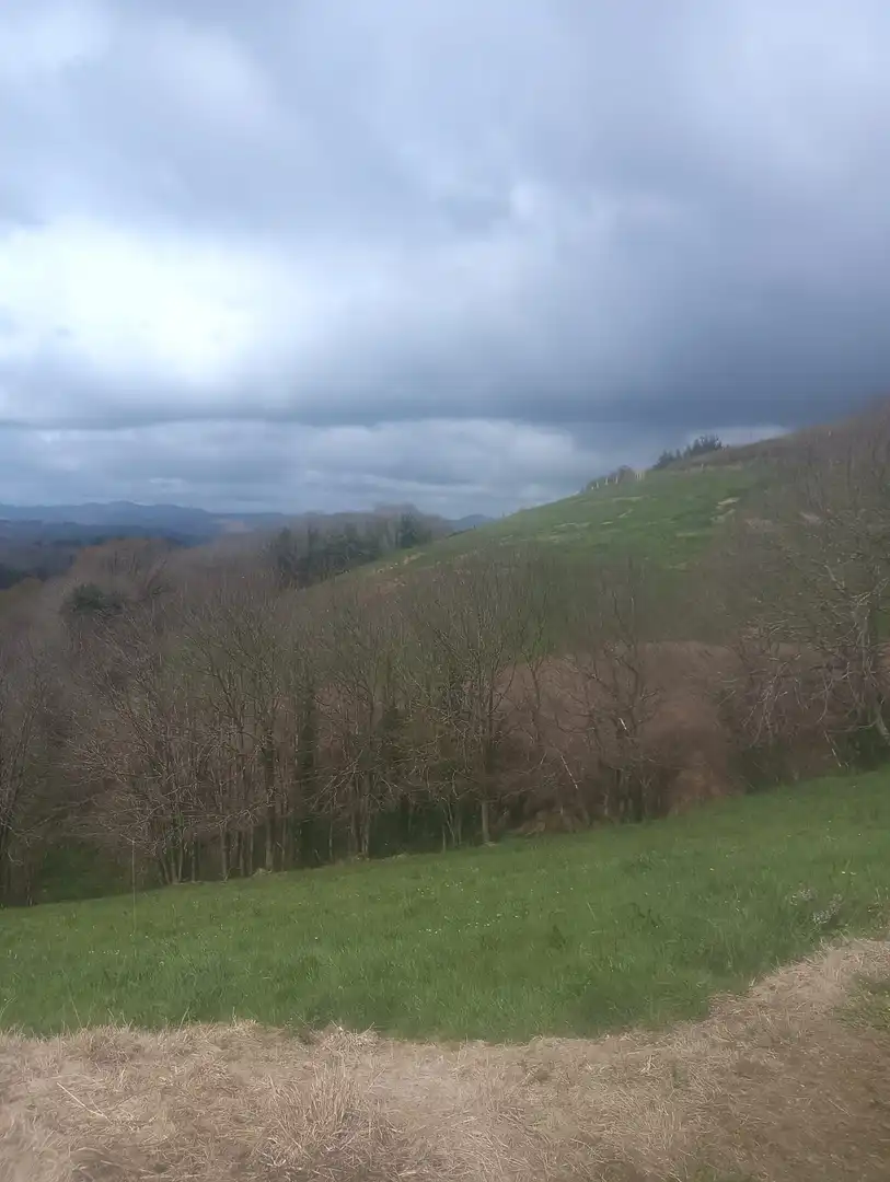 Terreny en venda en Tineo