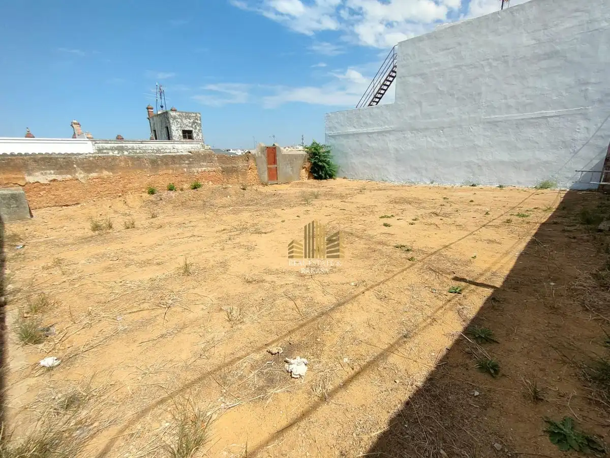 Lands and plots for sale in Nueva Alcalá, imagen 2
