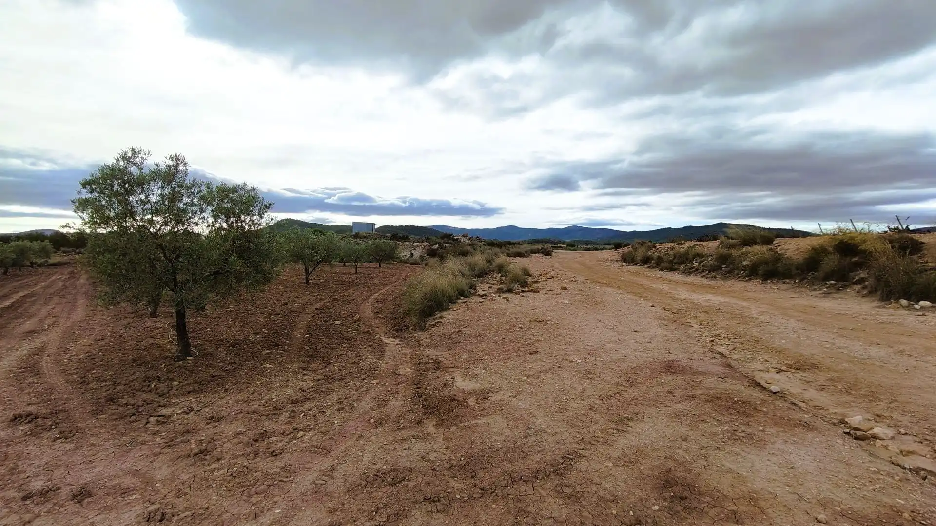 Terreny rústic en venda a Monóvar  / Monòver, imagen 13