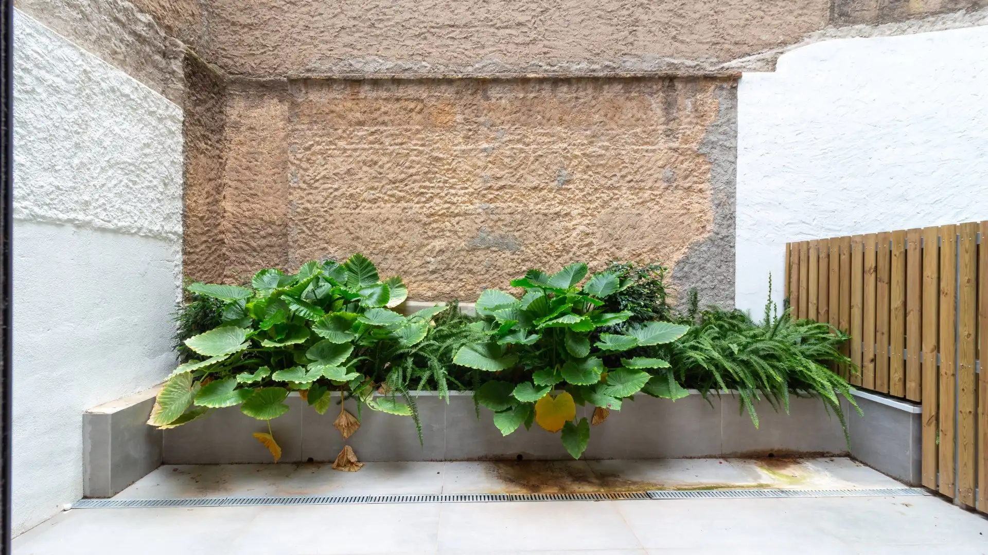 Jardí de Local de lloguer en Barcelona