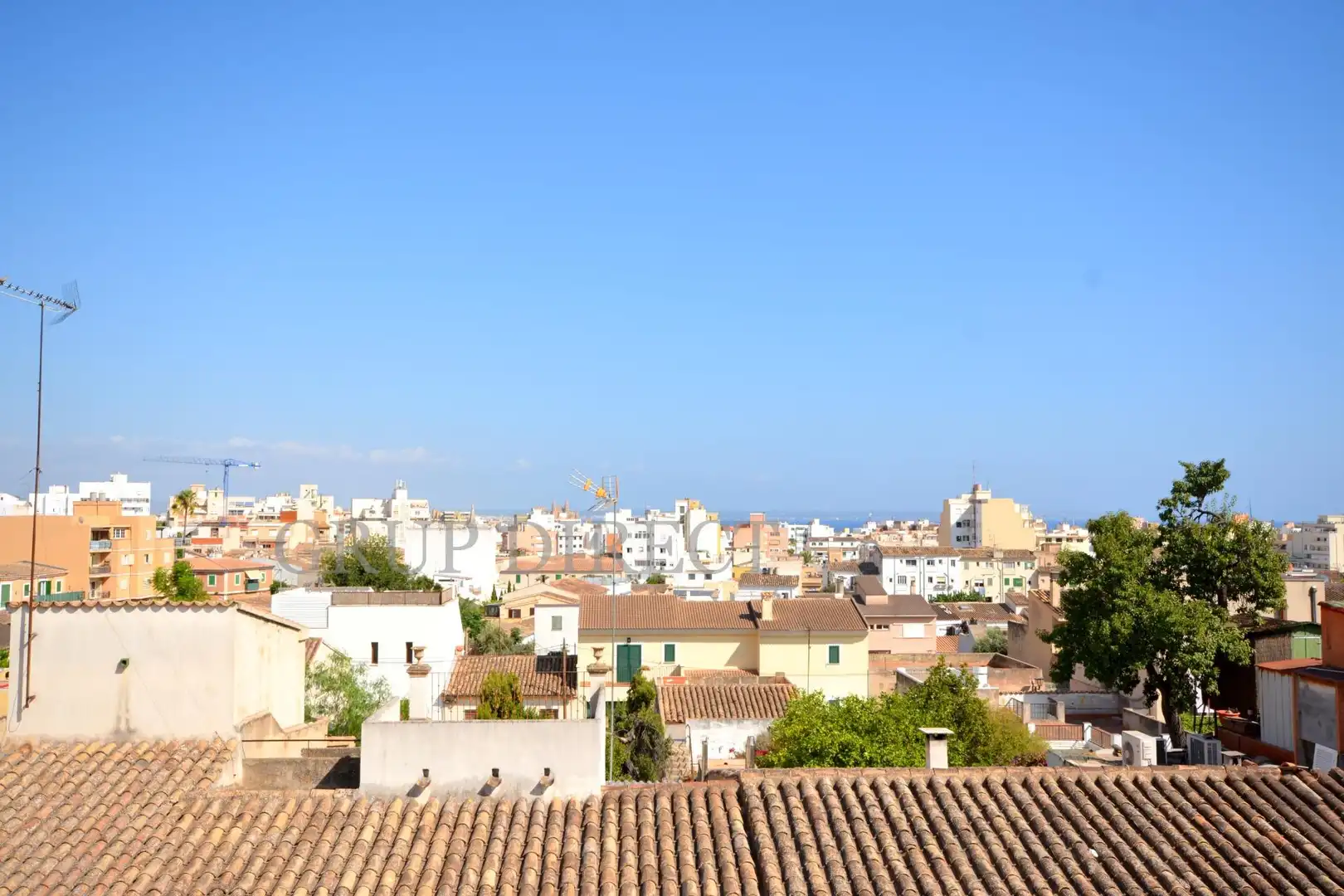 Vista exterior de Casa o xalet en venda en  Palma de Mallorca amb Calefacció, Jardí privat i Terrassa