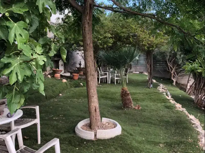 Jardí de Casa o xalet en venda en Cunit amb Aire condicionat, Piscina i Balcó