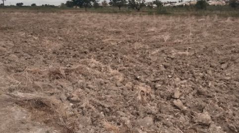 Foto 3 de Terreno en venta en Avinguda de L'alegría, 46, La Marina, Elche / Elx