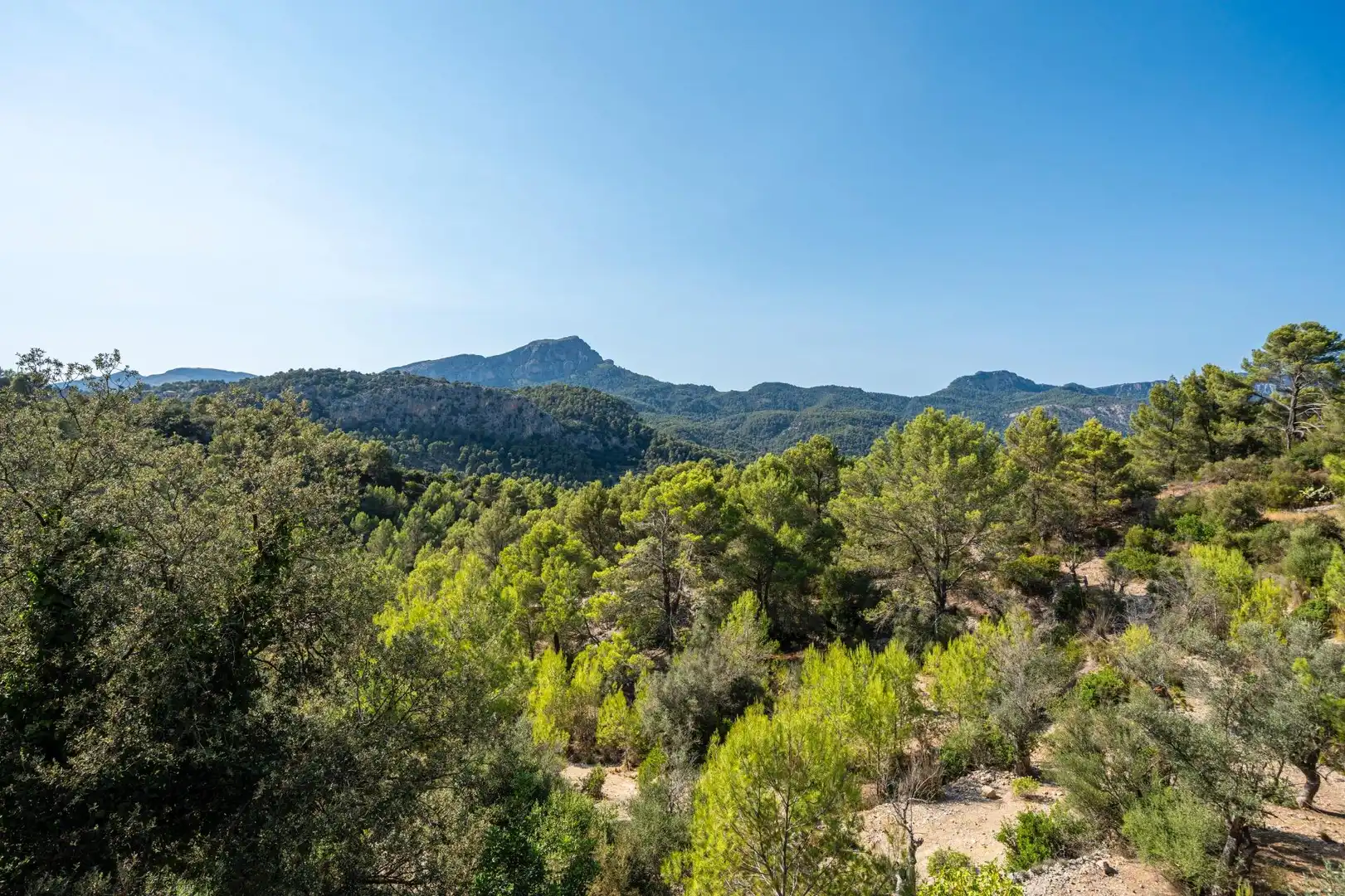 Finca rústica en venta en Puigpunyent con Aire acondicionado, Calefacción y Jardín privado