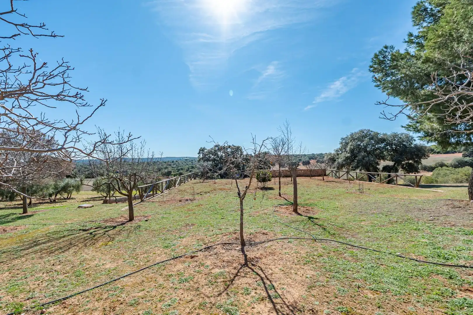 Finca rústica en venta en Polígono Polígono 123 Paraje 187 TERCERO, 18, Argamasilla de Alba