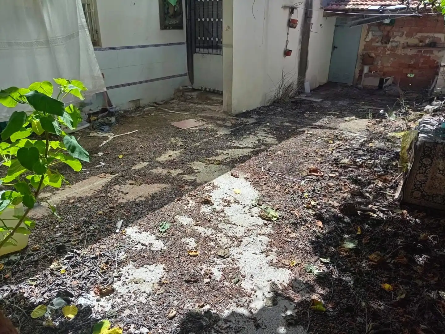Casa amb jardí en venda a Sur, imagen 10