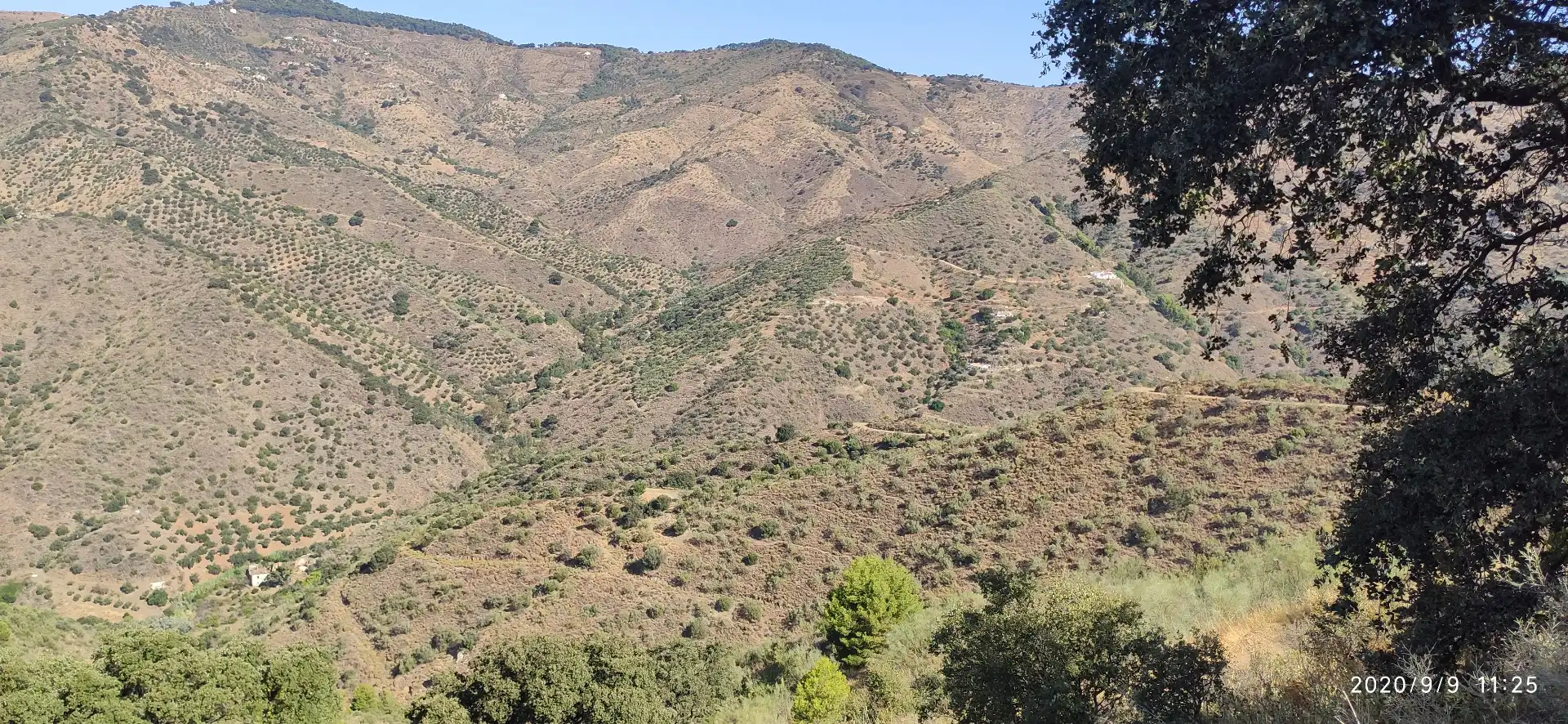 Terreno rustico in vendita a Monda, imagen 2
