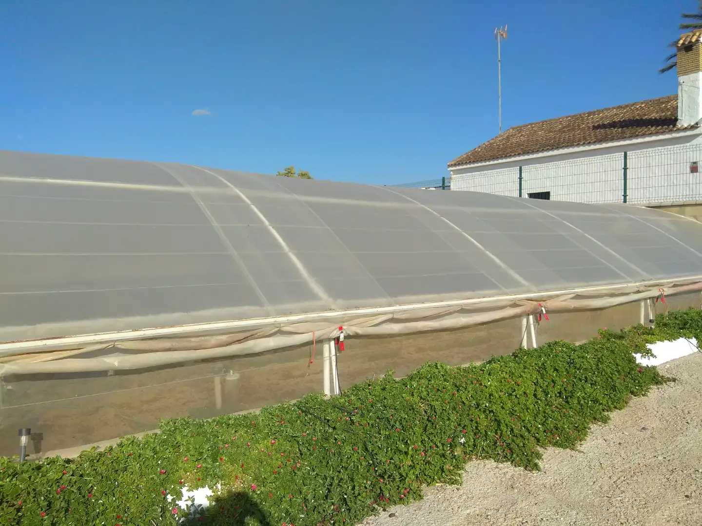 Rural land for sale in Conil