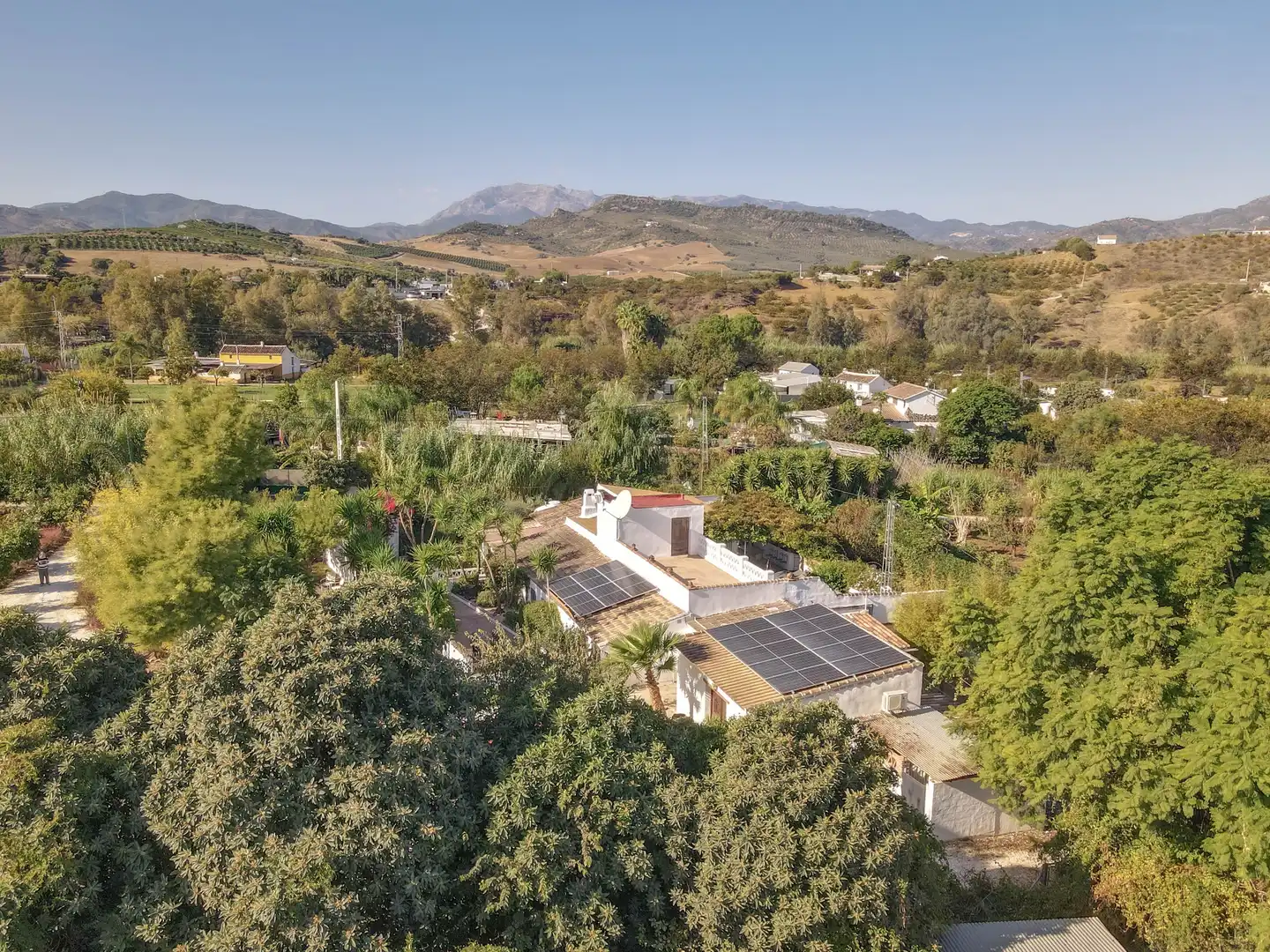 Maison avec piscine à vendre à Plaza Principe de España, imagen 66