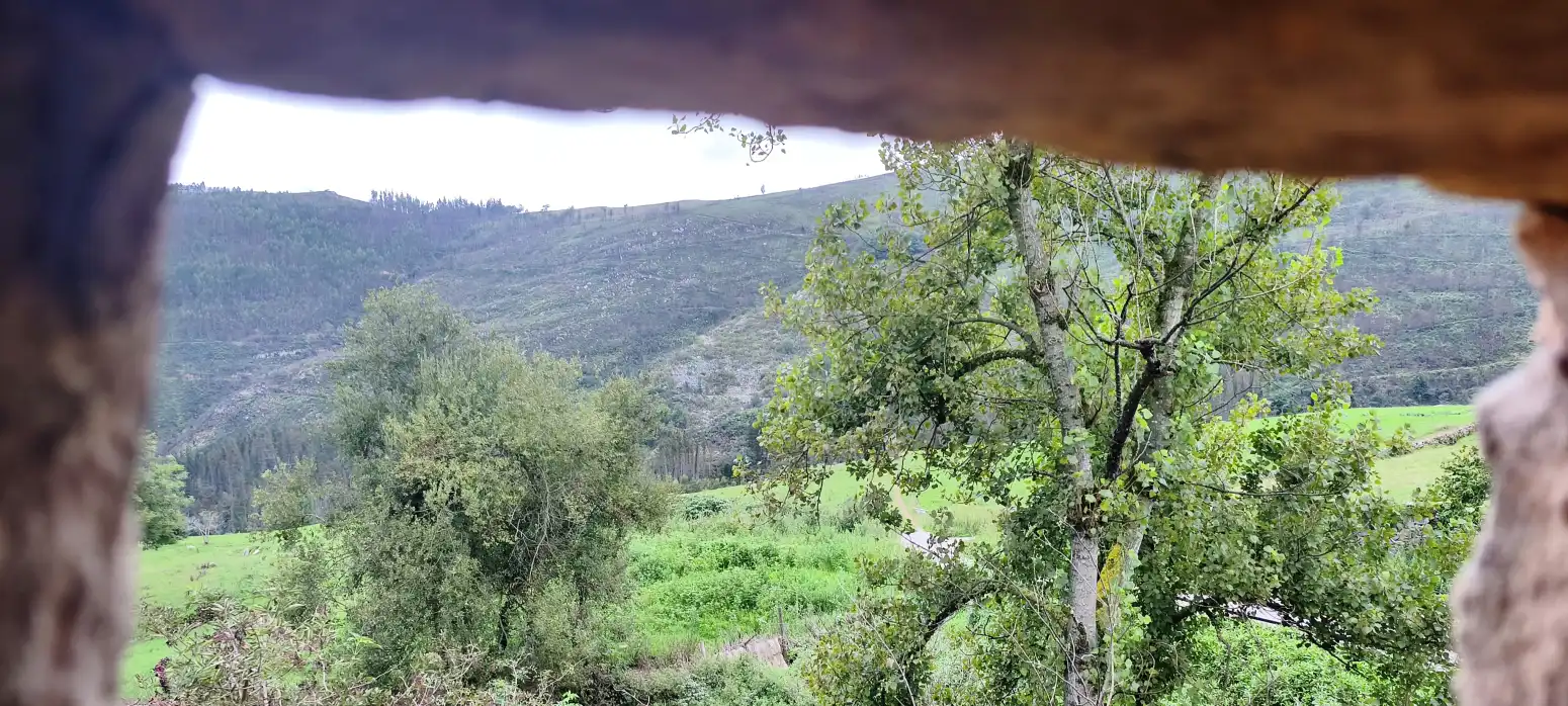 Vista exterior de Casa adosada en venda en Lamasón amb Jardí privat