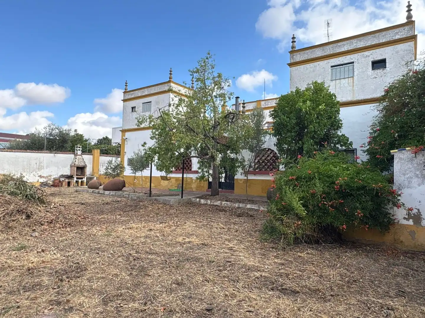 Jardí de Casa o xalet en venda en Villafranca de los Barros amb Terrassa, Traster i Balcó