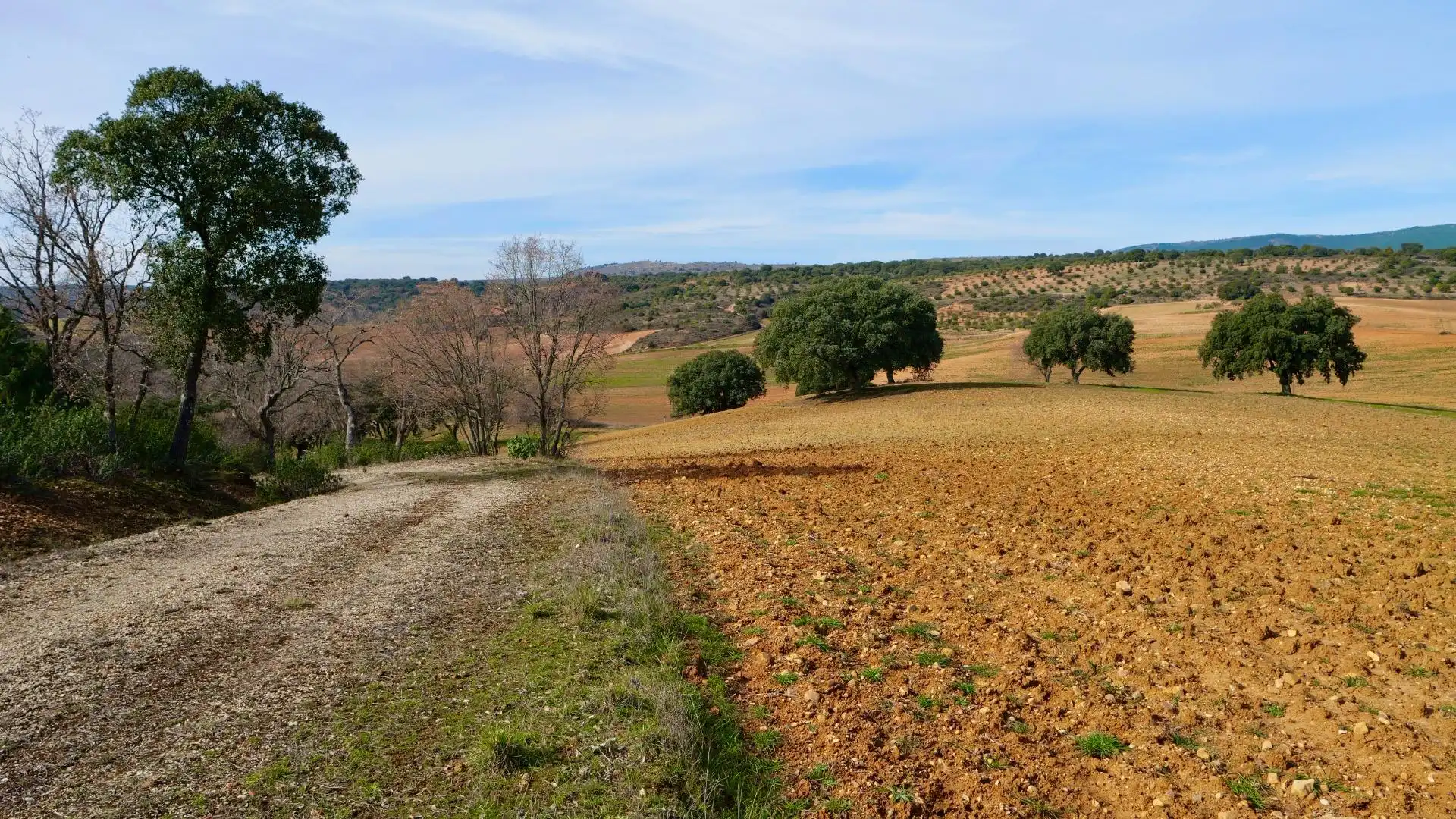 Land for sale in Arbancón