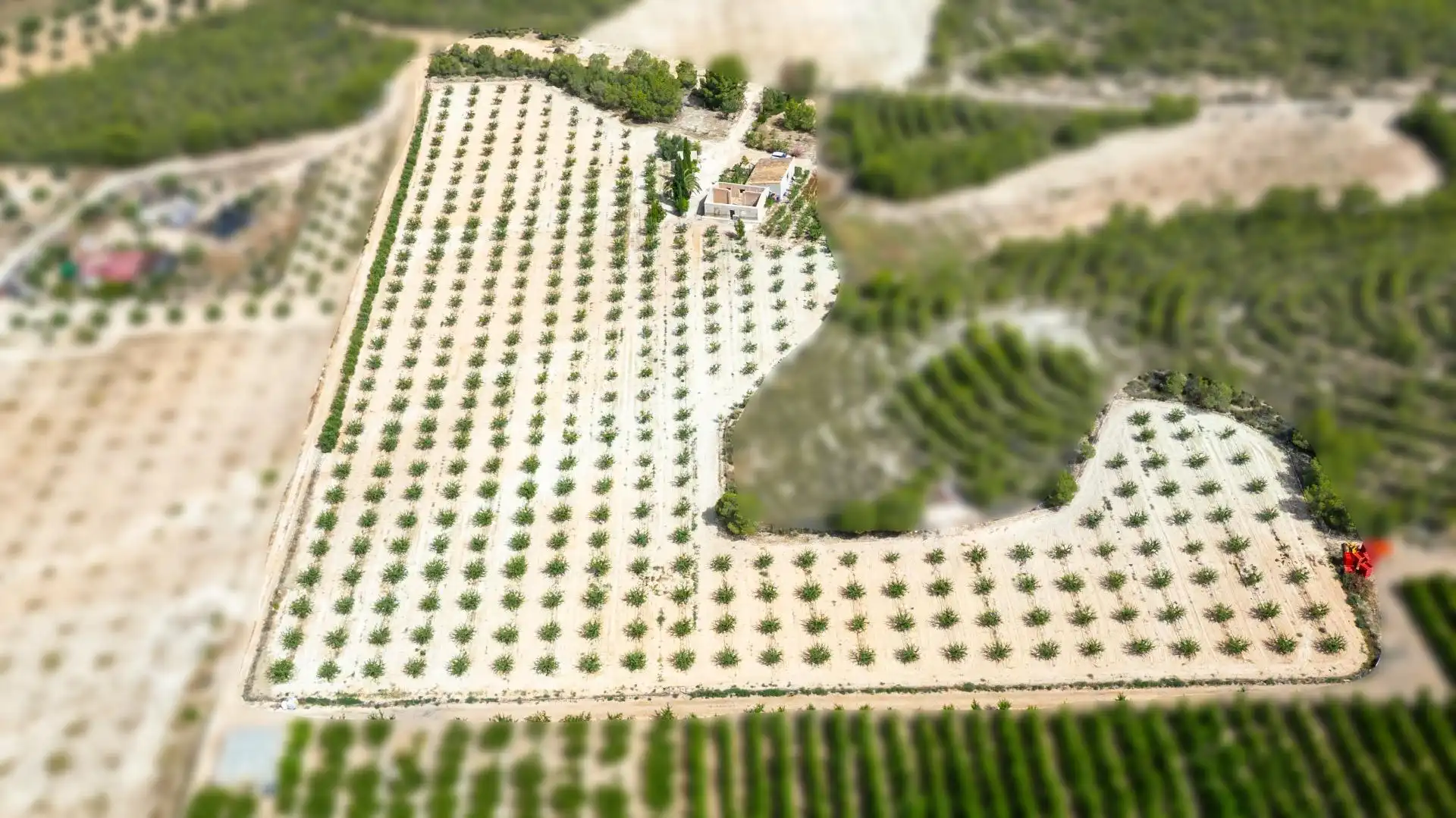Casa o xalet en venda en Cieza