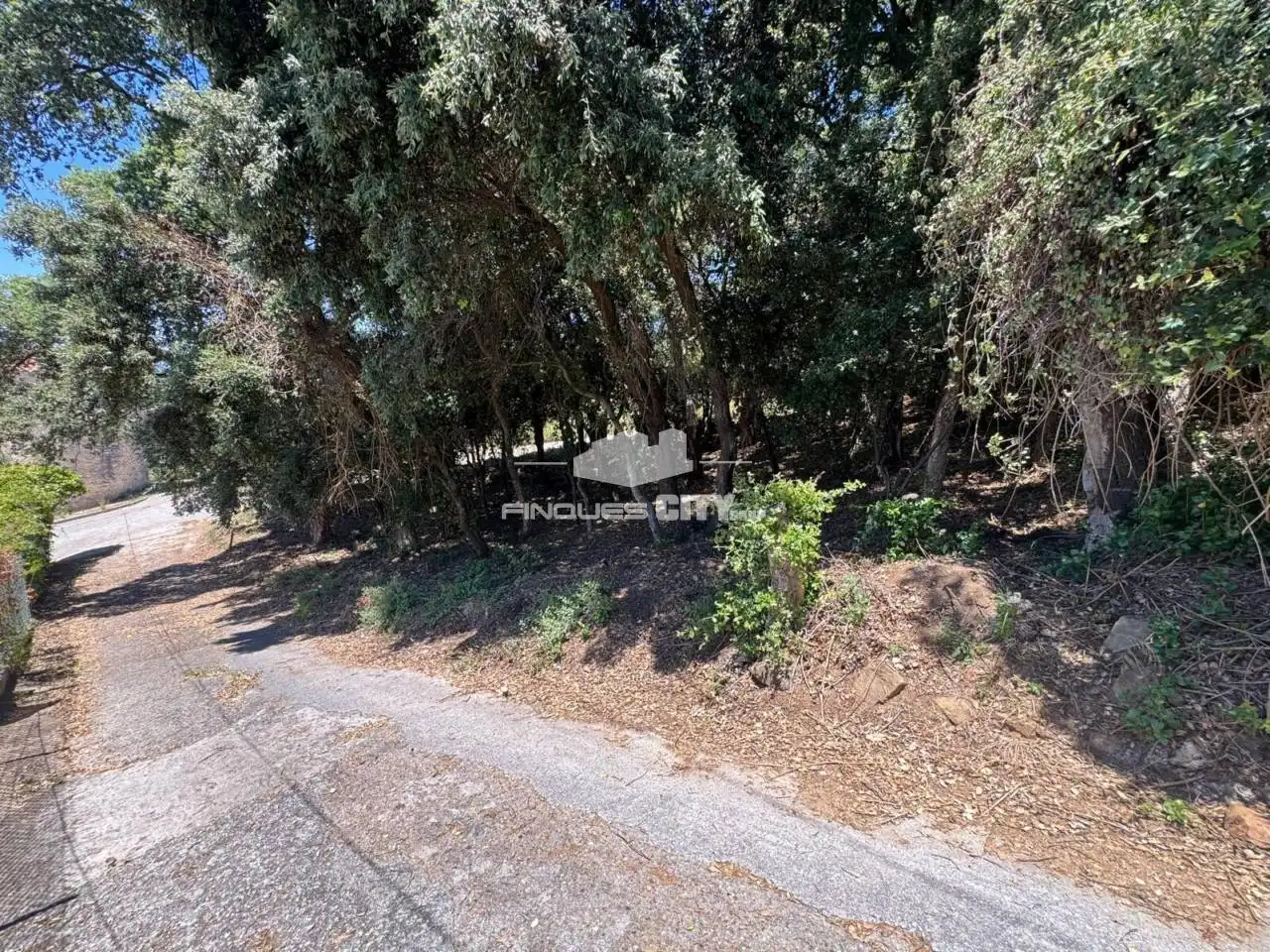 Residential land for sale in Calle Fores, imagen 3