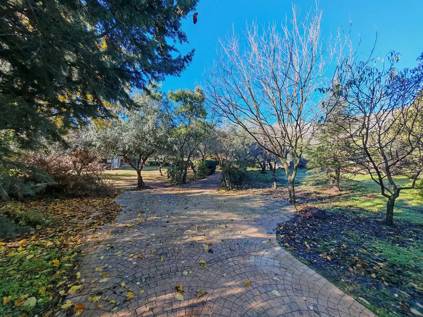 Casa rústica amb jardí en venda a Calle Casares, imagen 21