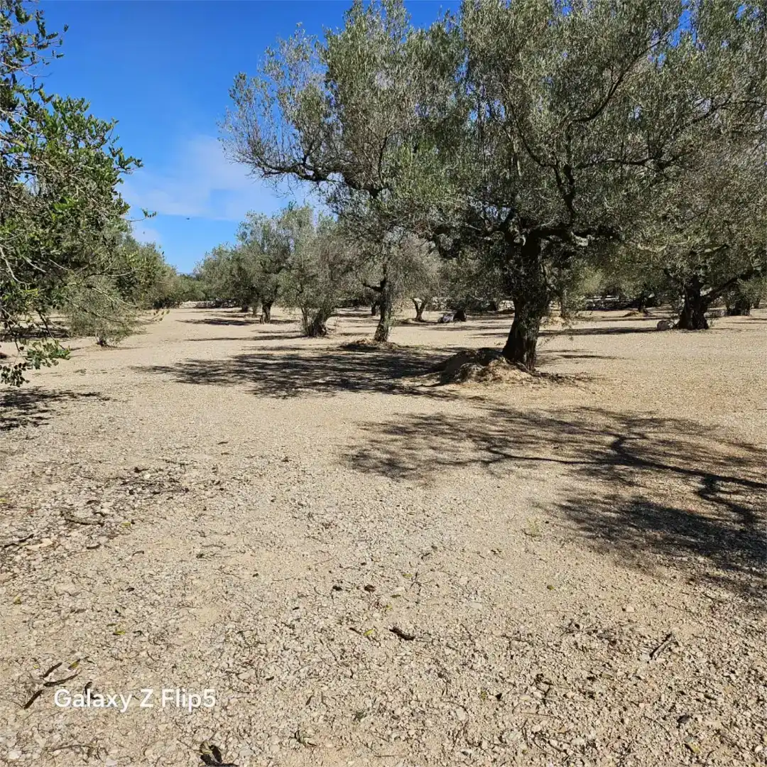 Grundstücke zum Verkauf in La Galera , Tarragona