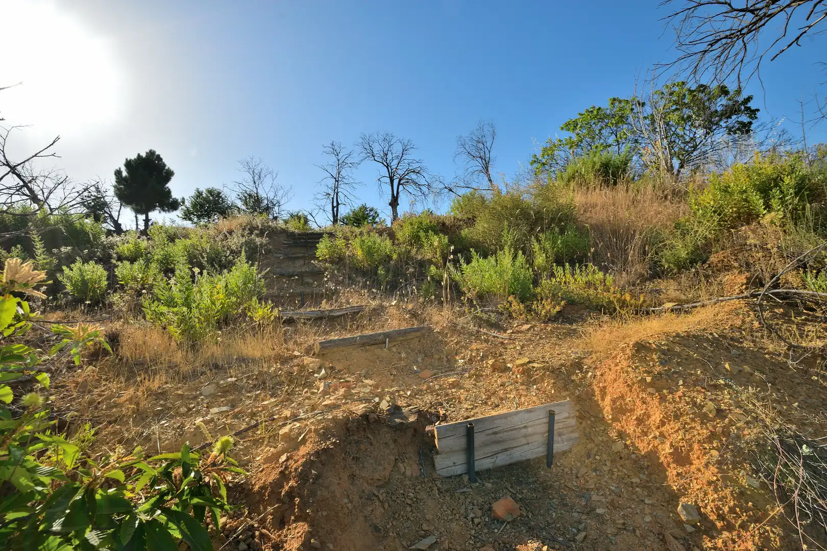 Terreno en venta en Calle Padre Francisco Rodríguez Gallego, 29, Cartajima
