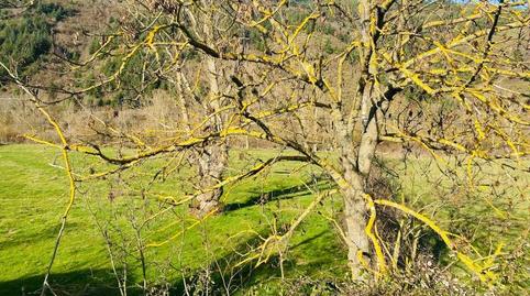 Photo 2 of House or chalet for sale in Ezcaray, La Rioja