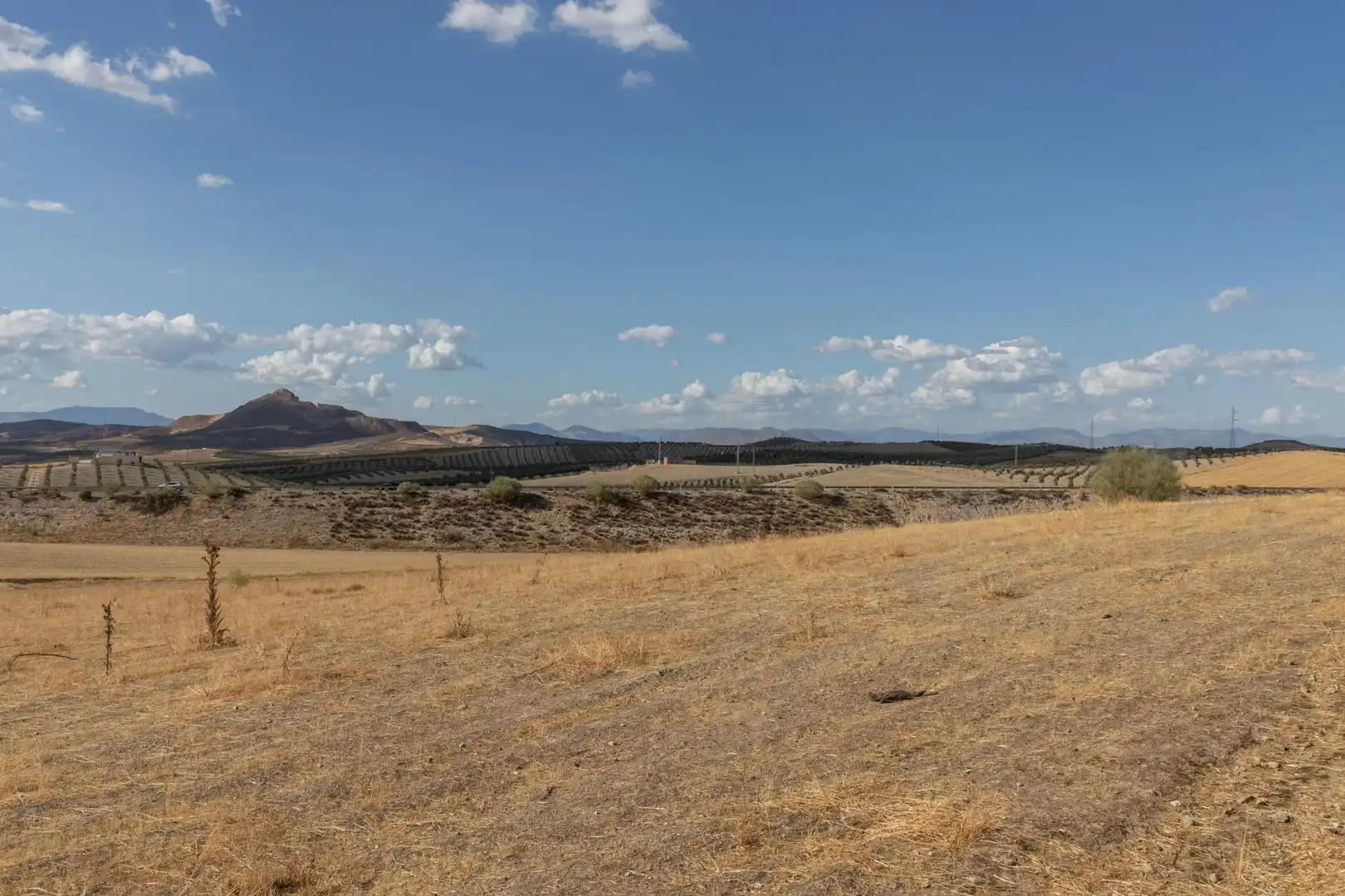 Lands and plots for sale in Polígono Polígono 6 Parcela 17 CAÑADA ESPARRAGAL. VILLA D 6, imagen 18