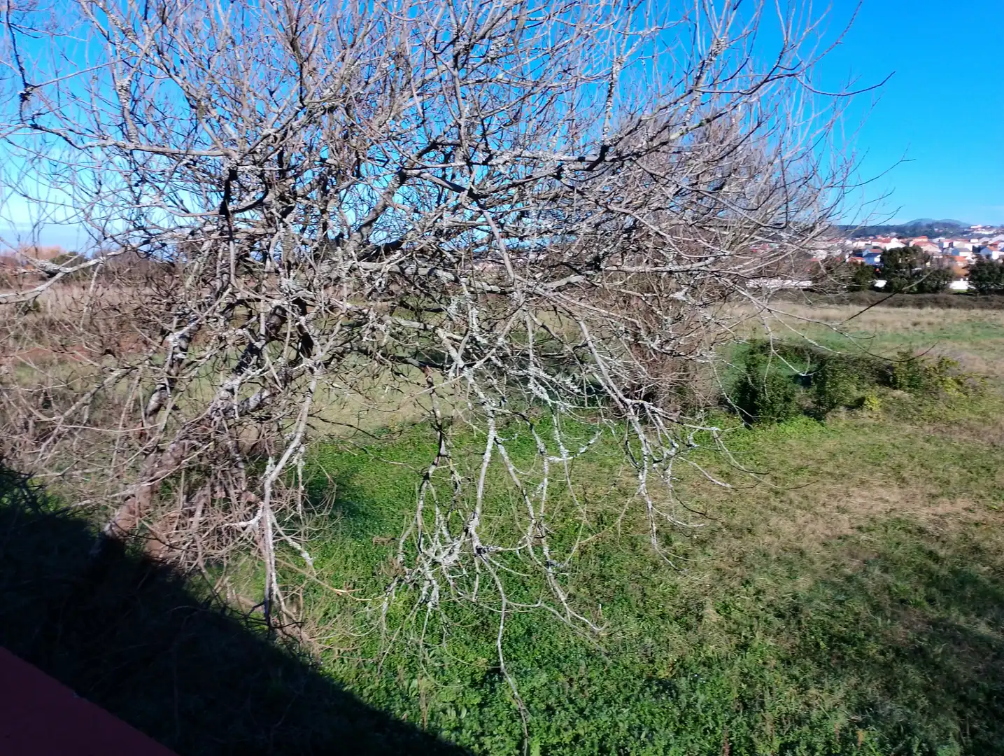 Casa o xalet en venda en Ribeira amb Calefacció, Jardí privat i Parquet
