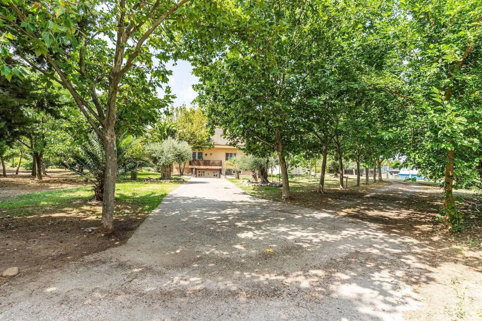 Vista exterior de Casa o chalet en venta en Fuente El Saz de Jarama con Aire acondicionado, Calefacción y Piscina