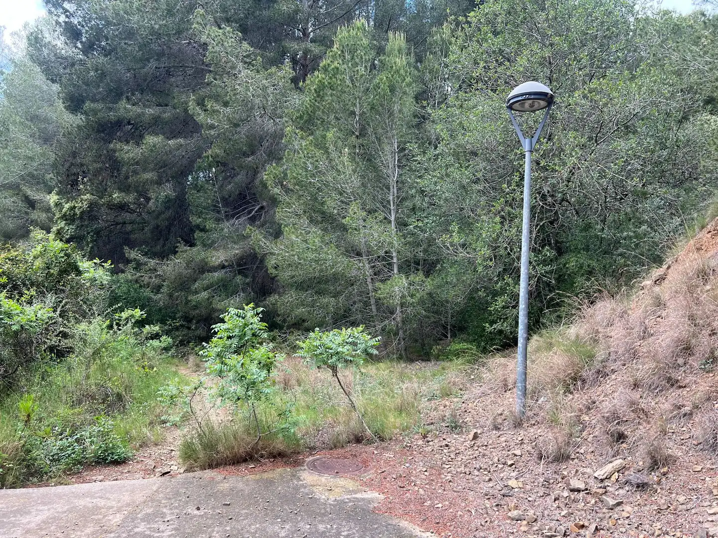 Terrenys i solars en venda a de les Alzines 13, imagen 3