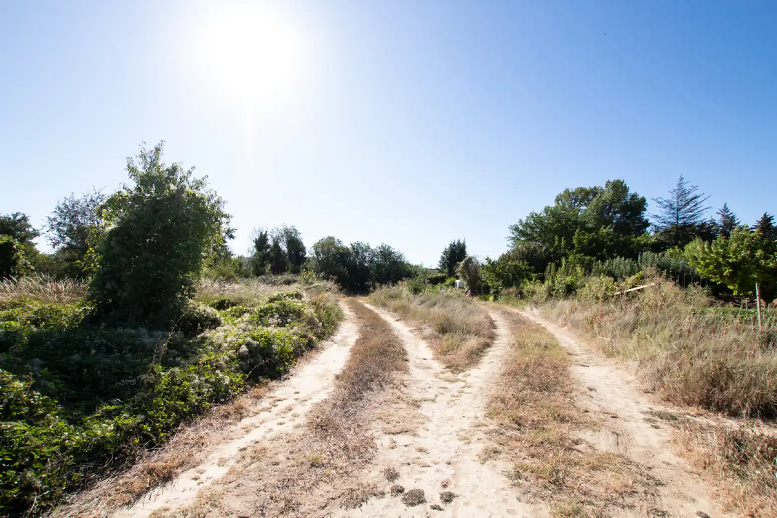 Land for sale in Tafalla - PARAJE MAKOTXA, Tafalla