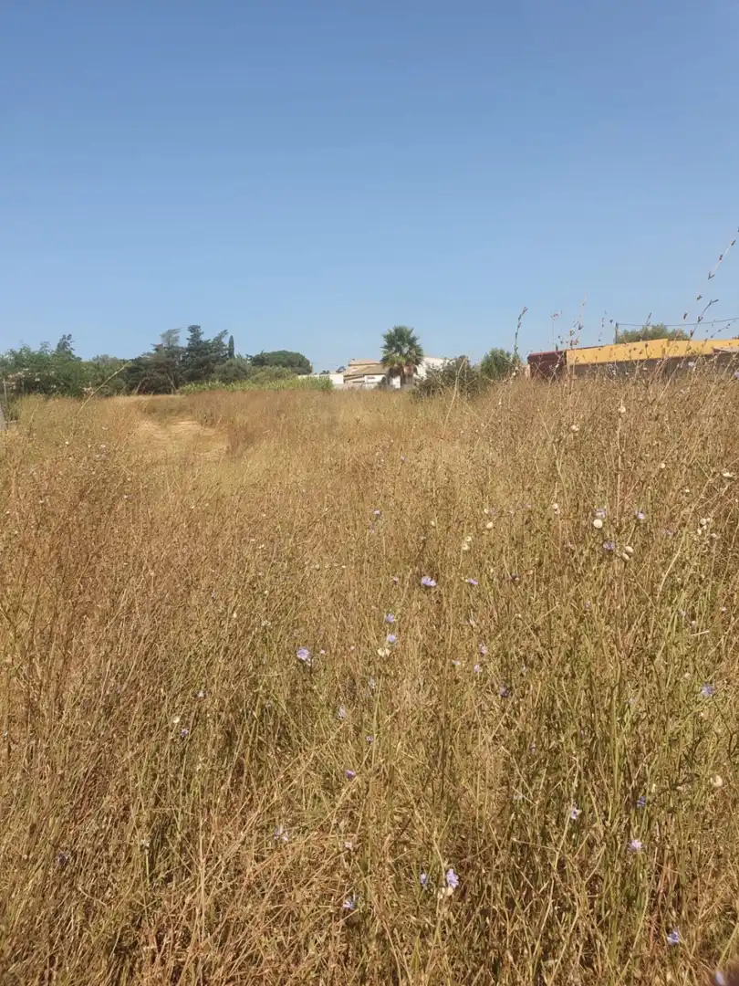 Residential land for sale in Las Lagunas - Campano