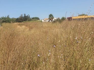 Terreno residenziale in vendita a Las Lagunas - Campano