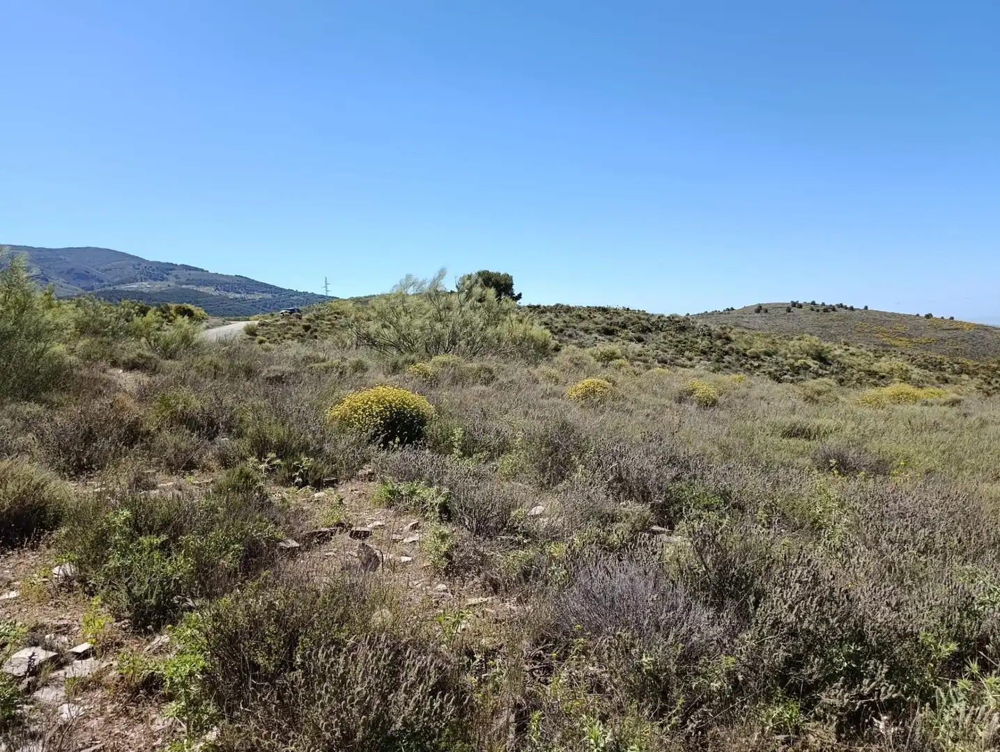 Terrenys i solars en venda a Laujar de Andarax, imagen 7