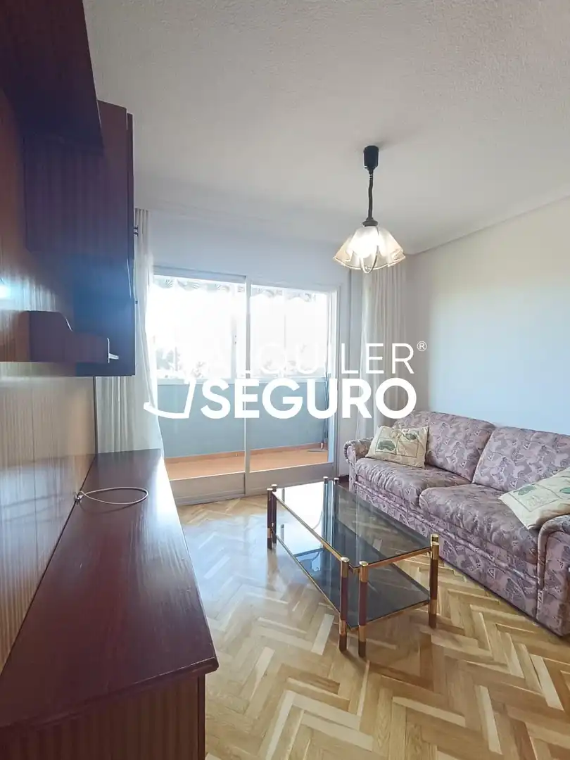 Living room of Flat for rent in Madrid  with Air Conditioner, Heating and Terrace