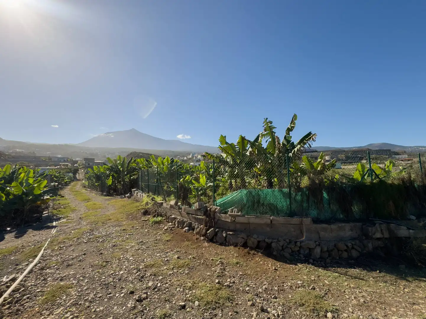 Finca rústica en venda en La Guancha