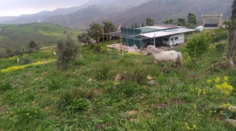 Foto 3 de Residencial en venda a A-7277, Carratraca, Málaga