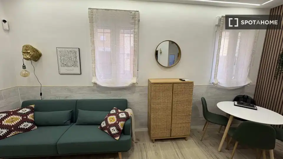 Wohnzimmer von Wohnungen zur untervermieten in Madrid mit Klimaanlage, Heizung und Terrasse