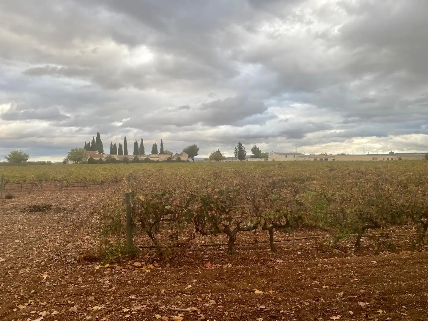 Business premises for sale in Chinchilla de Monte-Aragón, imagen 4