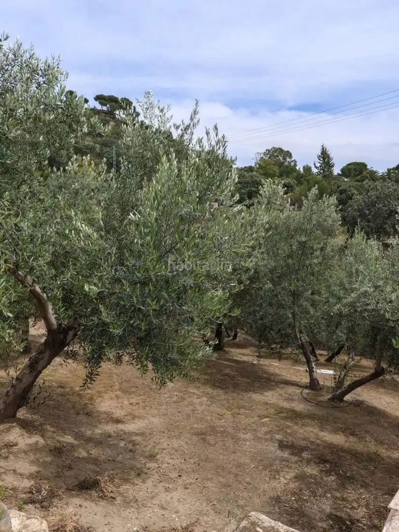 Xalet amb jardí en venda a Calle Carrera de la Virgen 22, imagen 17