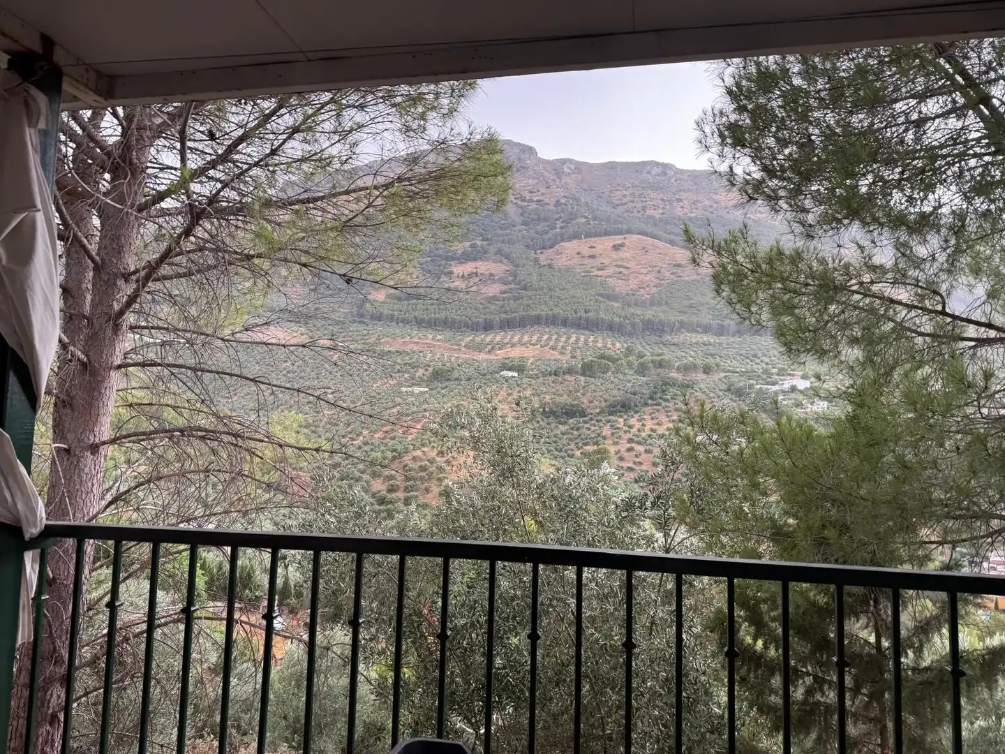 Garten von Country house zum Verkauf in Jaén mit Privatgarten, Terrasse und Schwimmbad