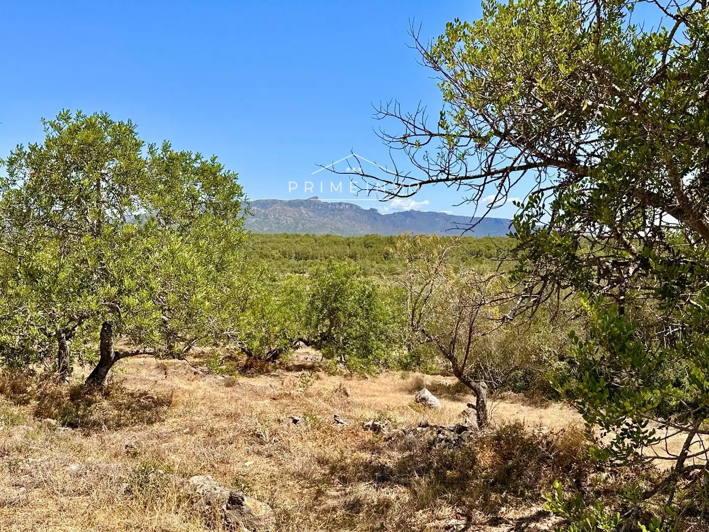 Finca rústica en venta en L'Ametlla de Mar 