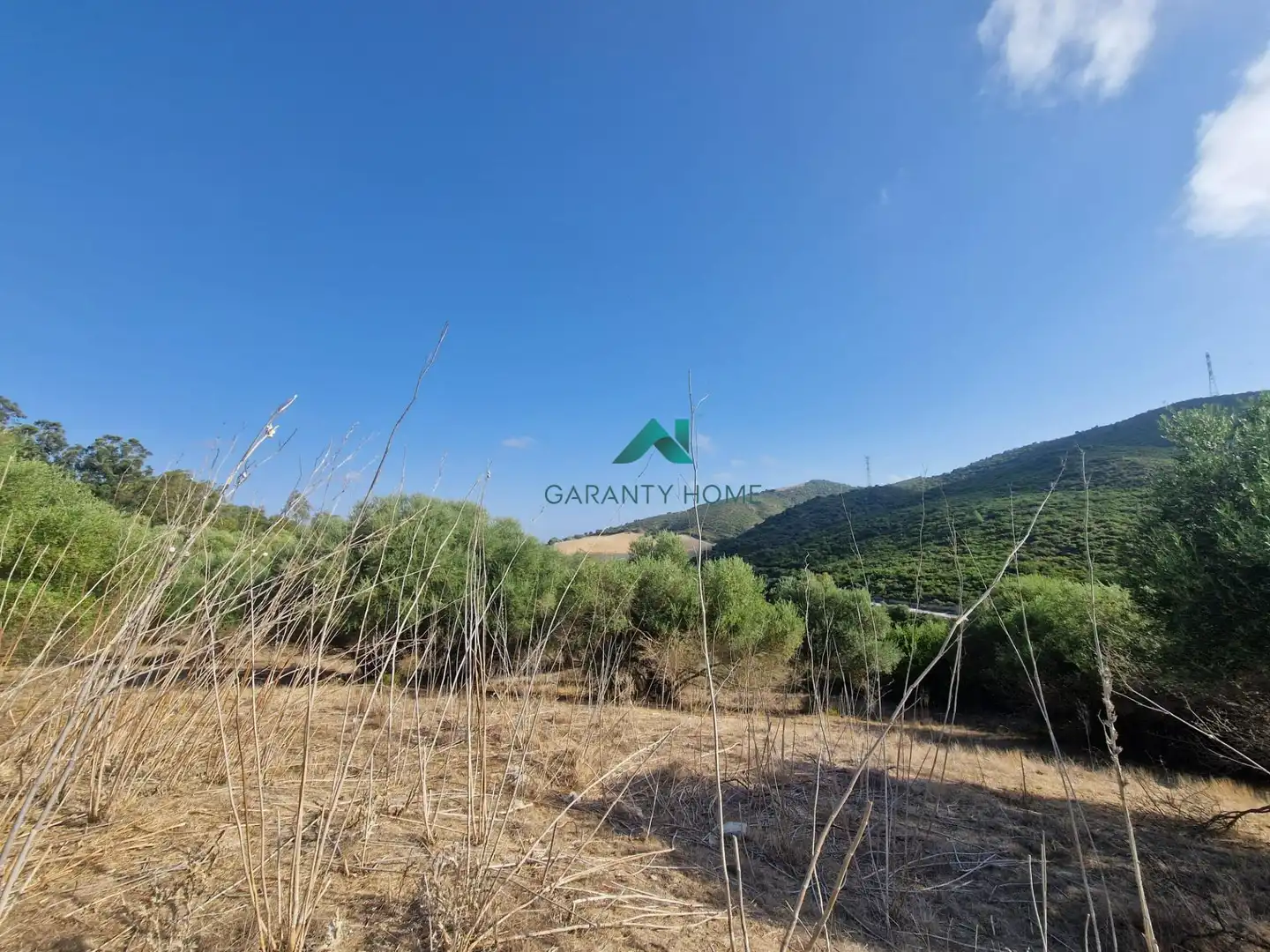 Rural land for sale in San José del Valle, imagen 12