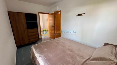 Foto 5 de Estudi de lloguer a Oliva Nova, Valencia