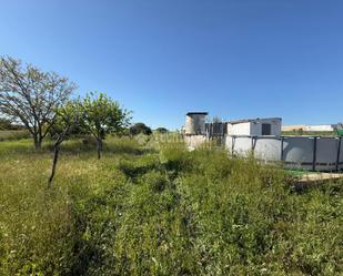 Finca rústica en venda en Mérida