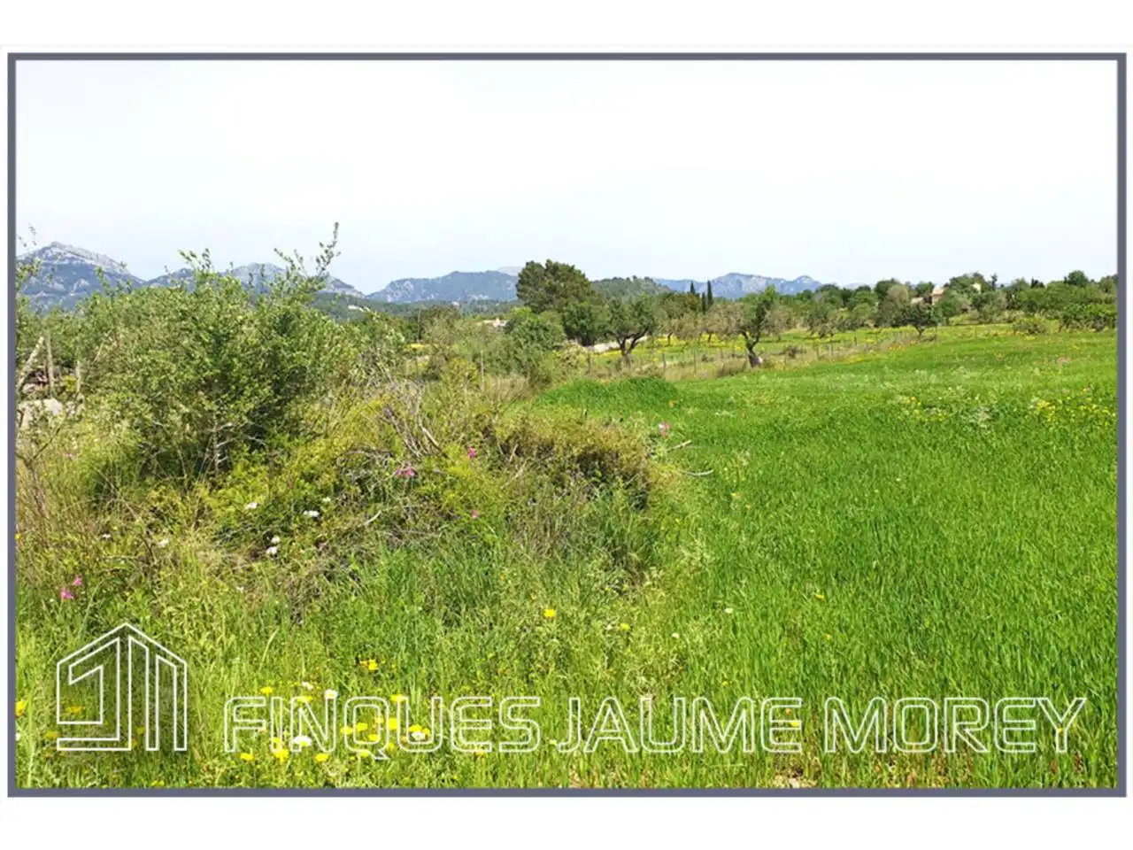 Terrain rustique à vendre à Poligono 12 Sn, imagen 5