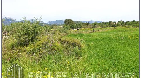 Terreno en venta en Biniamar, immagine 5
