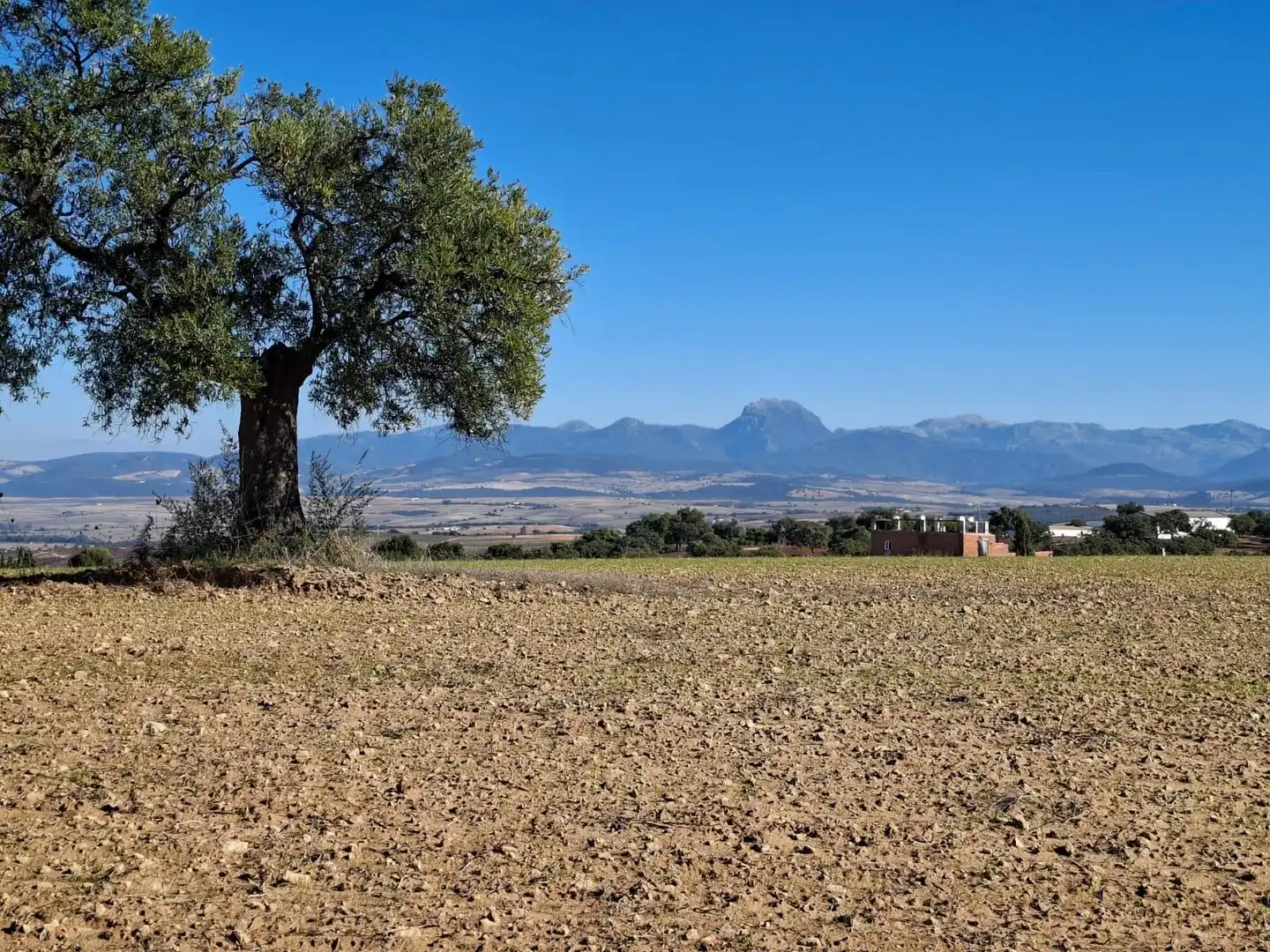 Casa rústica en venda a El Bosque, imagen 6