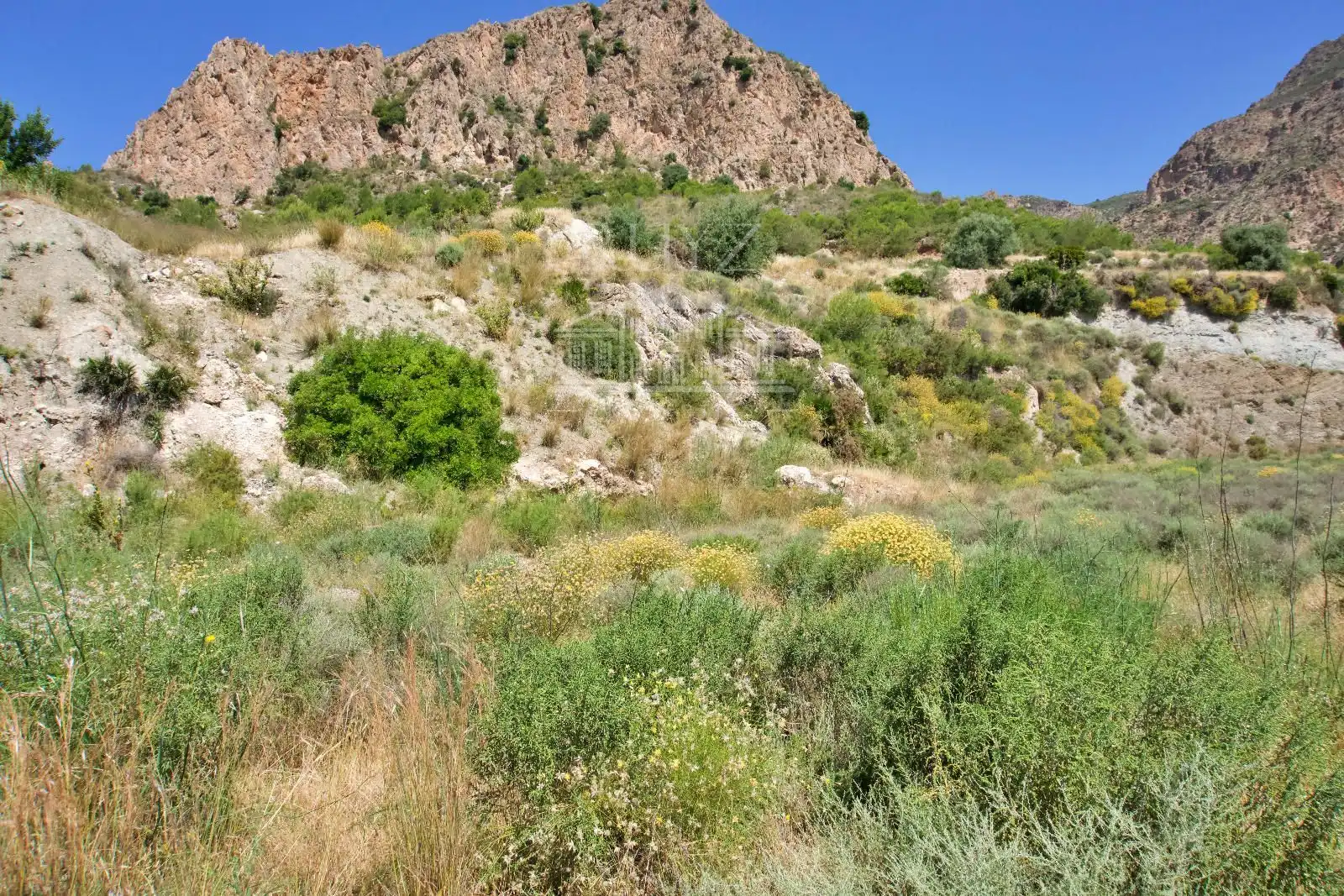 Terreny rústic en venda a Paraje Minchal Alto, imagen 7