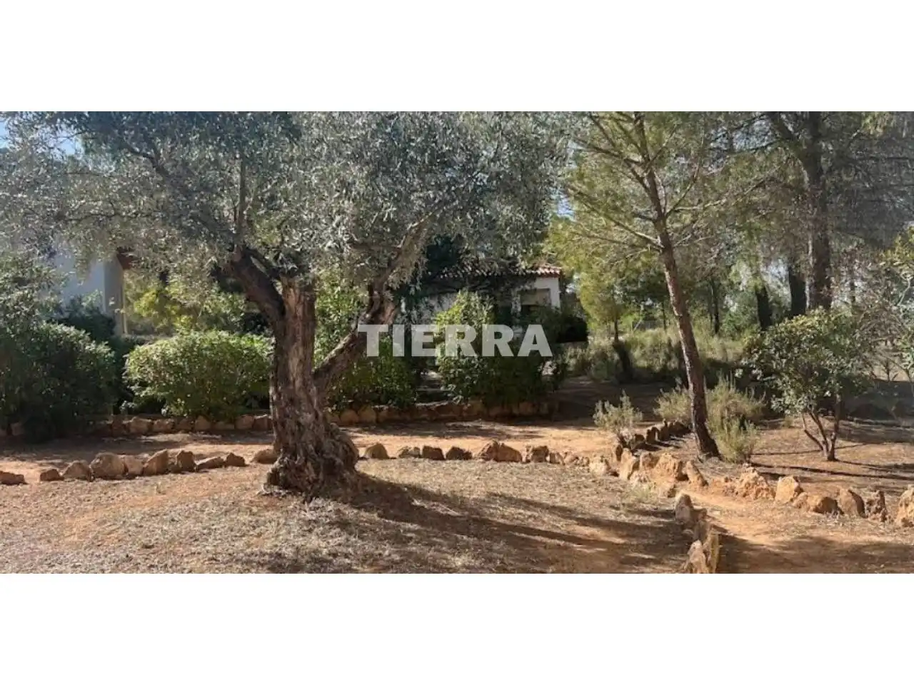 Garden of Buildings for sale in Socovos