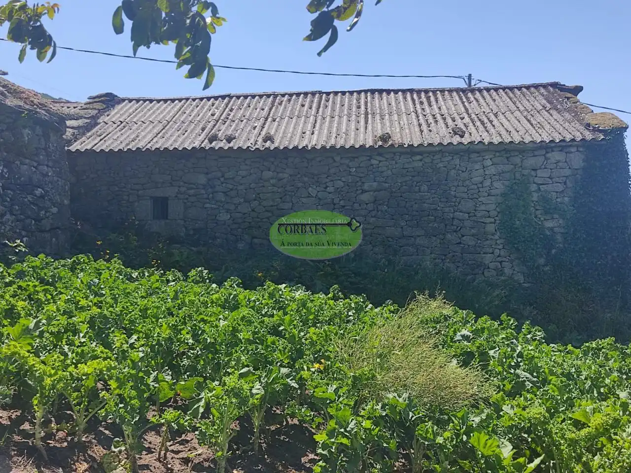 Casa o chalet en venta en San Cristovo de Cea con Jardín privado y Trastero