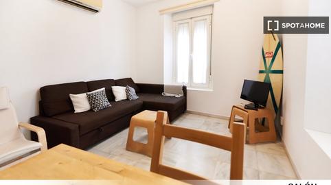 Photo 5 of Flat to share in San Gil, Sevilla